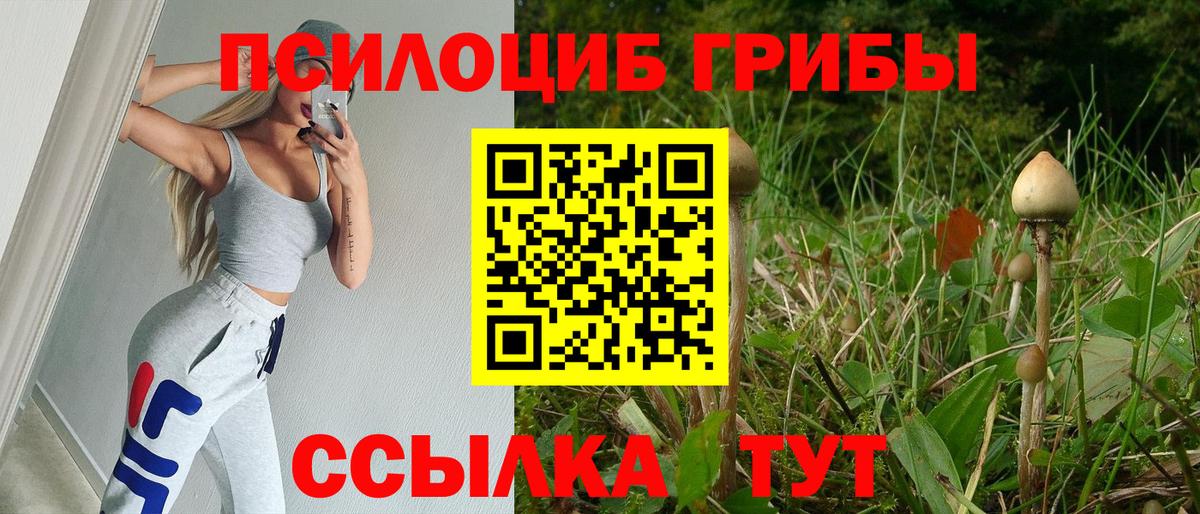 Галлюциногенные грибы ЛСД Шахты