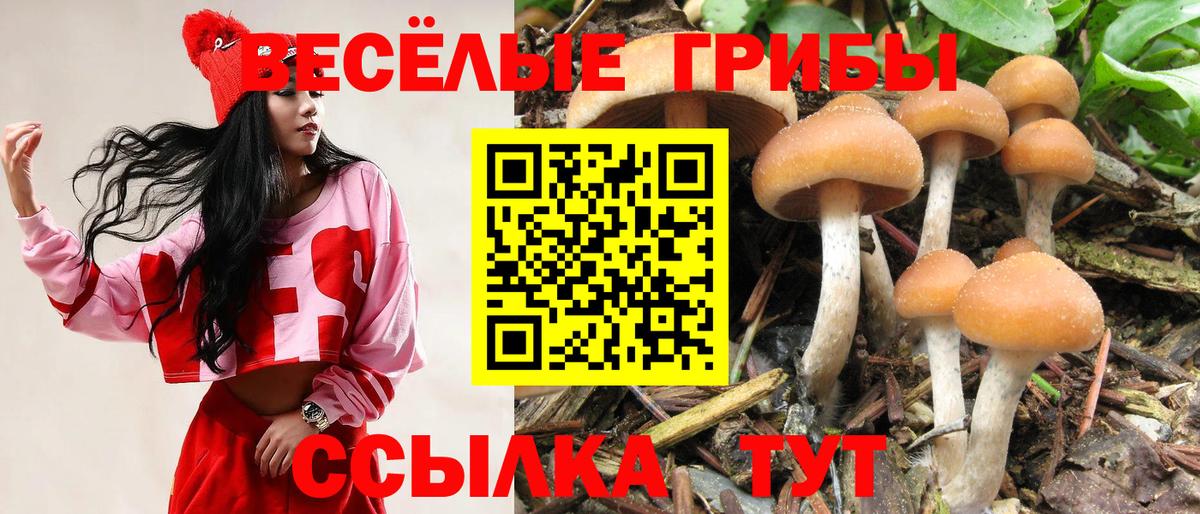 Галлюциногенные грибы мицелий  Вход с VPN  Шахты 